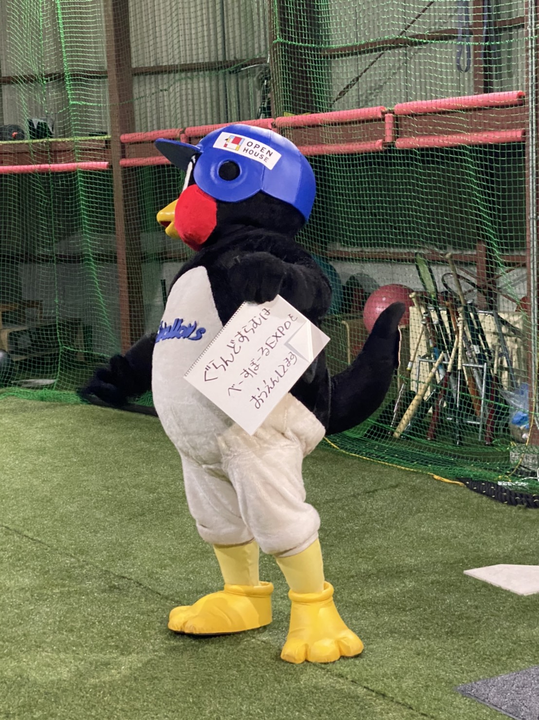 松山限定デザイングッズ」販売のお知らせ | 東京ヤクルトスワローズ